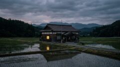 「あの仔馬は無事です」紗栄子がSNSで報告。称賛を集める驚きの行動力と現在の牧場経営