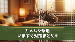 カメムシ撃退法をいますぐ解説 今年多い理由と来年に備える対策